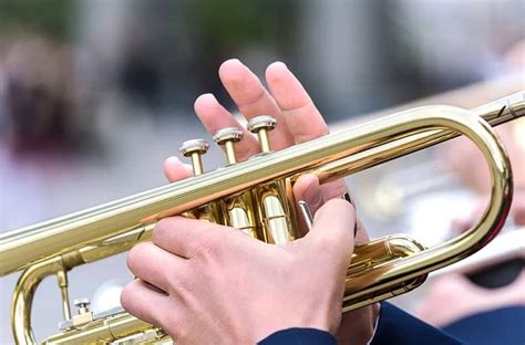 Caracter Sticas De Los Instrumentos De Viento