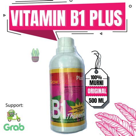 Jual Pupuk Vitamin B Plus Grow Quick Hormon Akar Tanaman Hias Anti