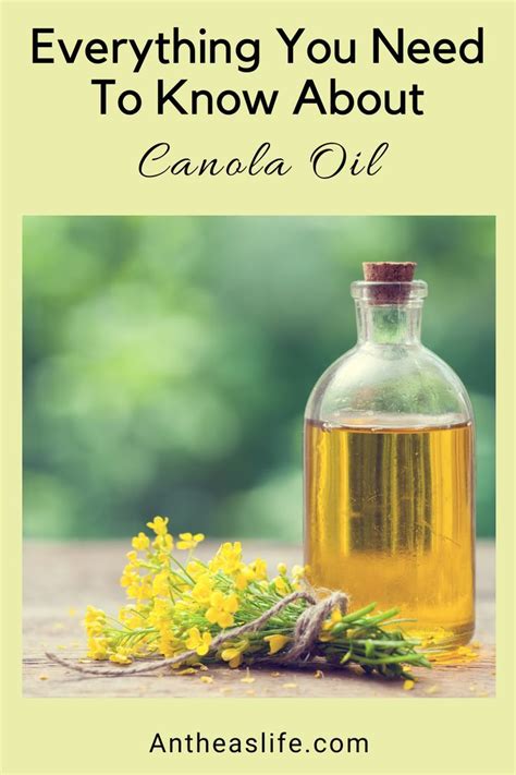 Everything You Need To Know About Canola Oil Benefits Artofit