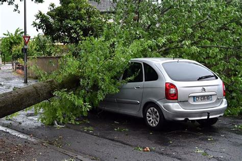 Pratique Une Branche Tombe Sur Votre Voiture L Assurance Va T Elle