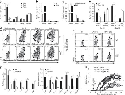 Peli Mediated Microglial Activation Contributes To Eae Pathogenesis