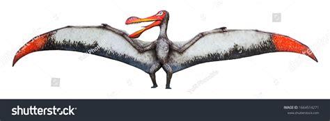 Ornithocheirus Pterosaur Type Flying Reptile Ornithocheirus Stock Photo