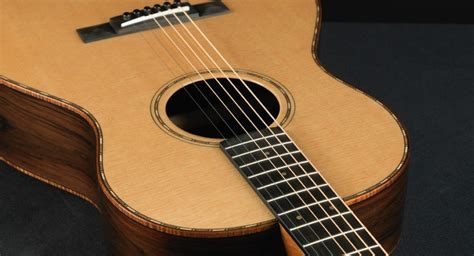 Understanding Fret Buzz With Acoustic Guitars Acoustic Guitar