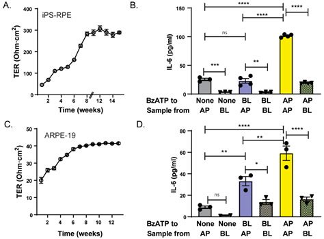 Cells Free Full Text Polarized Cytokine Release Triggered By P2x7