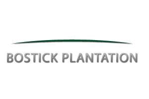 South Carolina Quail Hunting Directory - Quail Plantations, Lodges