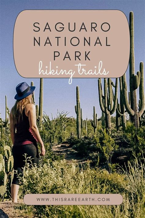 Saguaro National Park Hiking Trails - This Rare Earth