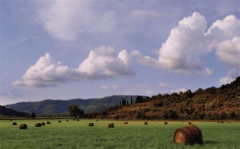 Motovun forest – the Istrian green oasis - Zigante Truffle Days