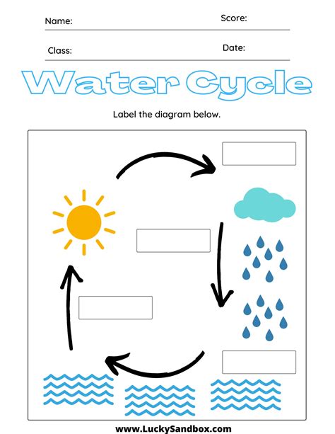 Water Cycle Worksheet Etsy