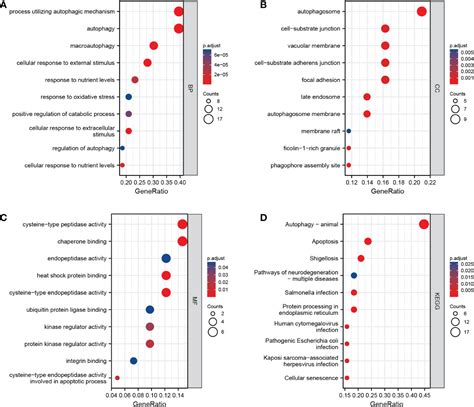 Frontiers Integrative Bioinformatics Analysis To Identify Novel