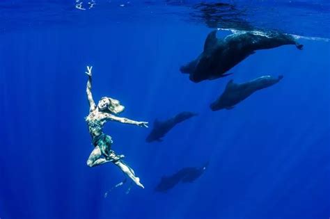 Real Life Mermaid Hannah Fraser Swims With Whales In Stunning Pictures