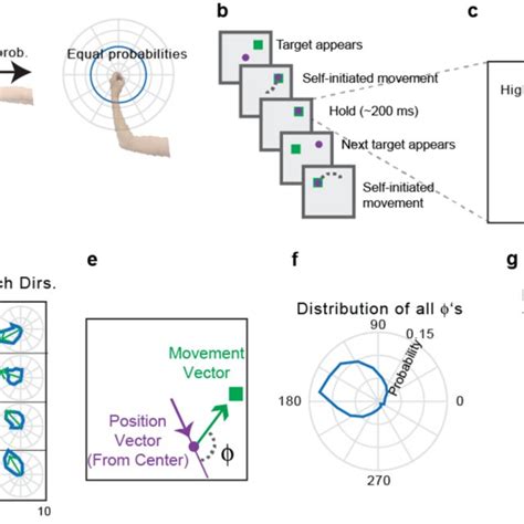 Visuomotor Rotation Control Task A The Visuomotor Rotation VR Task