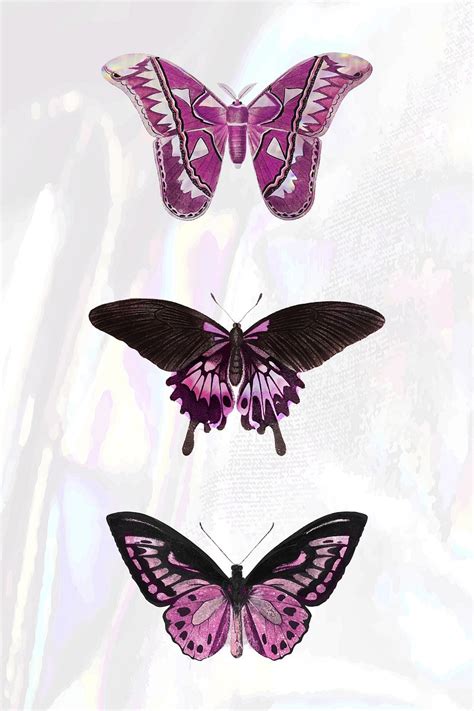 Pink Holographic And Glittery Butterfly Premium Vector Rawpixel