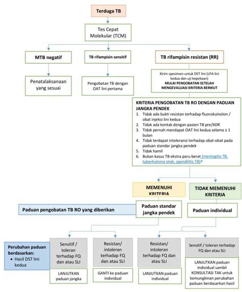 Tuberkulosis Tb Patofisiologi Diagnosis And Tatalaksana Kedokteran