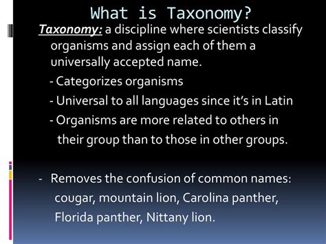 Taxonomy How Life Is Organized Ppt Download