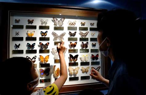 Shanghai Science Festival Held In Entomological Museum