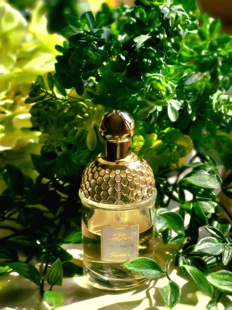 Aqua Allegoria Herba Fresca Guerlain Parfum Een Geur Voor Dames En