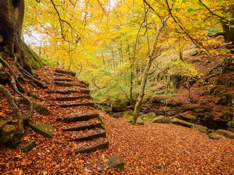 Padley Gorge Walk Peak District England 10adventures