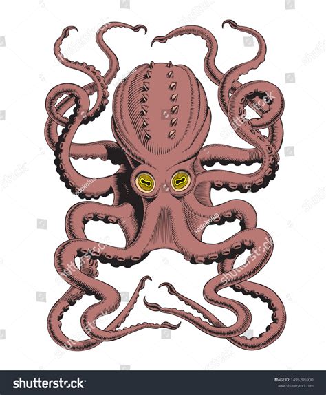 Octopus Kraken Hand Drawing Highdetailed Vintage Stock Vector (Royalty Free) 1495205900 ...