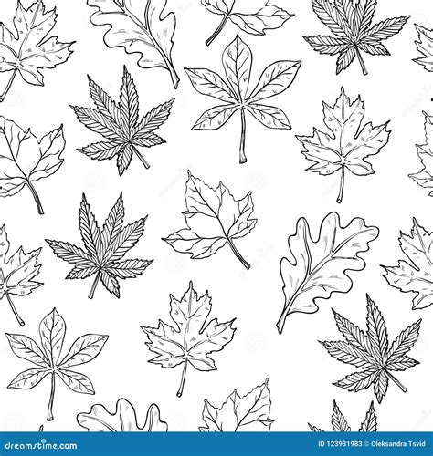 Sketch With Autumn Leaves Seamless Pattern Vector Illustration Black