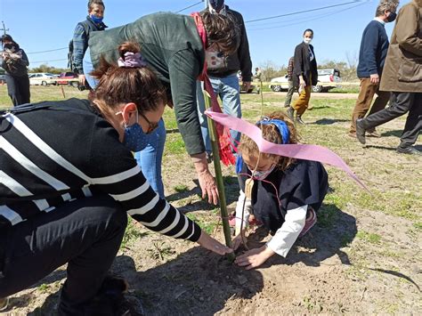 Plantatón 1 000 árboles nativos plantados en Colonia Programa De Las