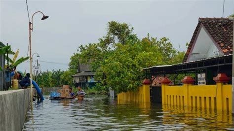 Banjir Di Demak Diperparah Kiriman Air Dari Hulu Dan Sungai Sempit