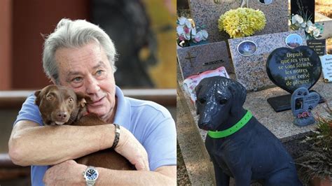 Alain Delon un cimetière pour chiens retrouvé dans son domaine de