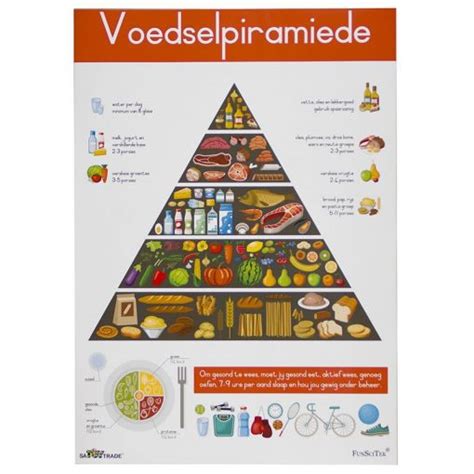 Voedselpiramide In Het Spaans Werkblad