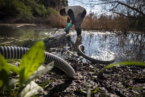 Greenpeace Devuelve Una Tonelada De Agua Contaminada A La Macrogranja