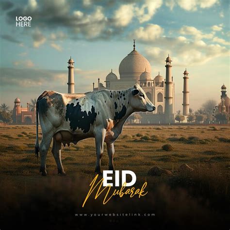 Premium Psd Eid Al Adha Mubarak Islamic Festival Two Cow Social Media