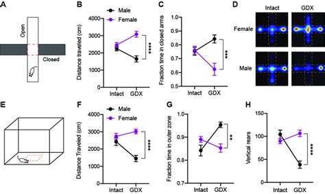 Prepubertal Gonadectomy Produces Sex Differences In Adult Download