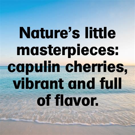196 Capulin Cherry Captions For Instagram In 2025
