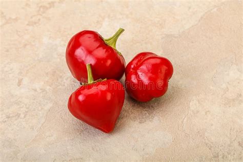 Red Hot Spicy Cherry Pepper Stock Image Image Of Harvest Pimento 199473595