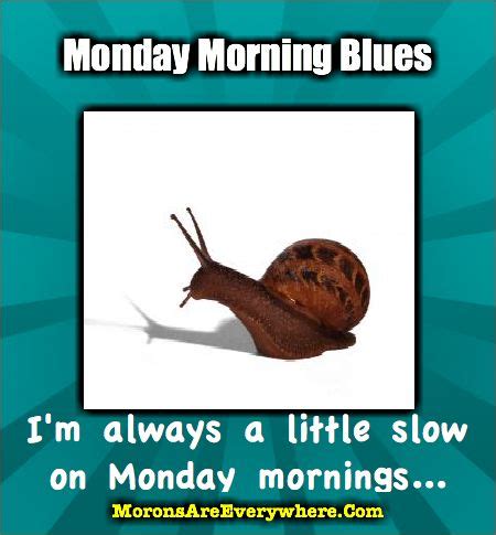 Funny Quotes About Monday Blues. QuotesGram