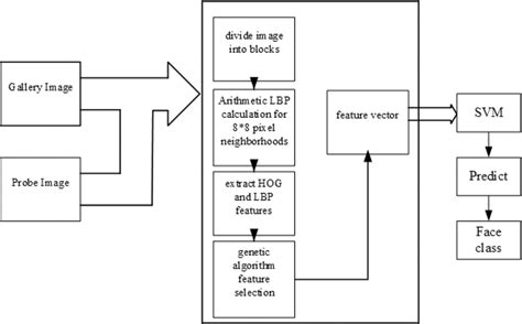 main procedure   main method  scientific diagram