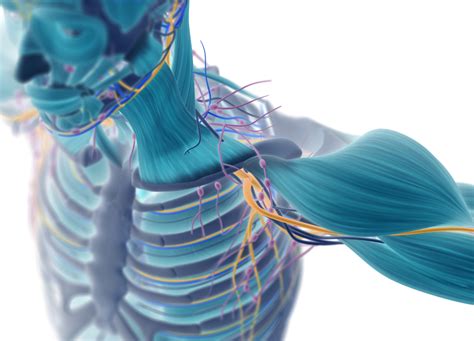 Doenças neuromusculares - Clínica LG Neuro