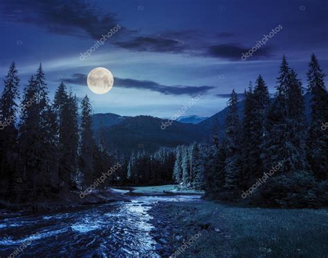 Río de montaña en bosque de pinos por la noche 2023