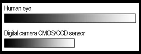 What Is Dynamic Range?