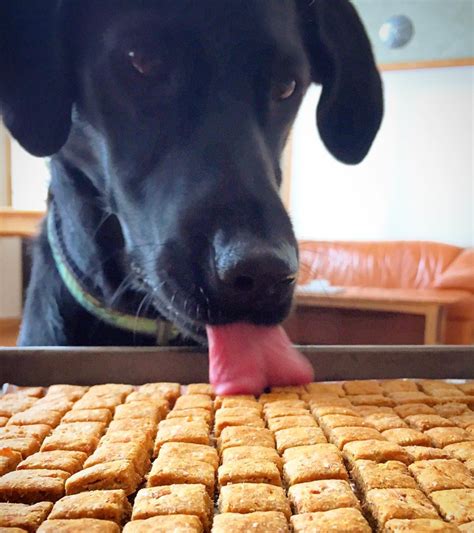 10 Homemade Dog Training Treats We Love + Recipes - Dog Breed Info