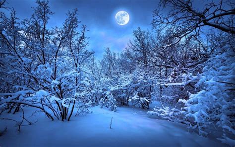 Full Moon Winter Wallpapers - Wallpaper Cave