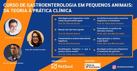 CURSO DE GASTROENTEROLOGIA EM PEQUENOS ANIMAIS DA TEORIA À PRÁTICA