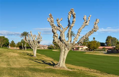 Indian Springs — PJKoenig Golf Photography PJKoenig Golf Photography - Golf Photos For Those Who ...