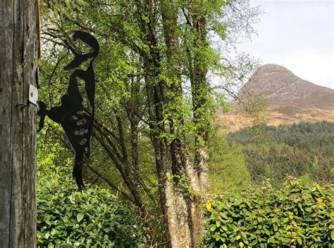 Metal Birds Garden Art — Uk