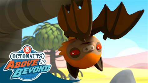 Octonauts Above Beyond Dashi Peso The Extraordinary Fruit Bats