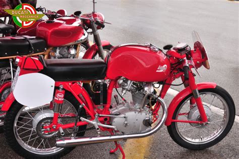 Ducati Gran Sport Marianna 1955 Moto Passion Moto Collection