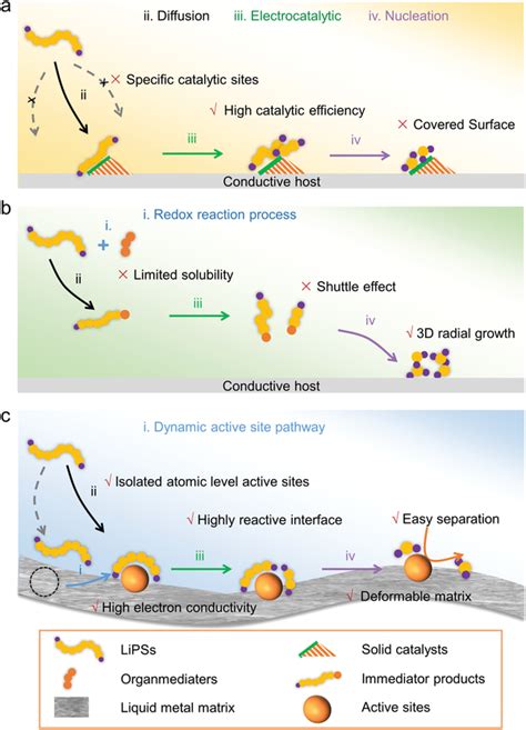 Schematically Illustration Of The Catalytic Strategies A