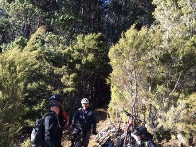 Wairoa Gorge - A Women's Mountain Bike Experience • goRide.co.nz