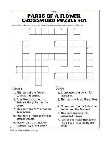 Parts Of Flower Crossword Learn With Puzzles