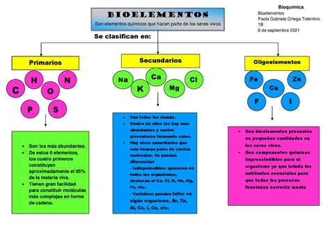 Arriba 87 Imagen Bioelementos Y Biomoleculas Mapa Mental Abzlocal Mx