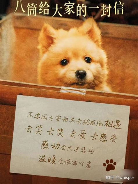 《忠犬八公》经典台词 知乎