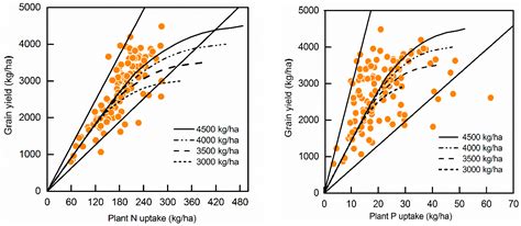 Characteristics Of Yield And Harvest Index And Evaluation Of Balanced